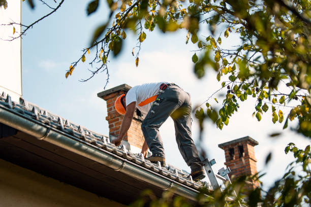 Quick and Trustworthy Emergency Roof Repair Services in Norfolk, NE